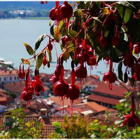 Zura Apartments Ohrid Bagian luar foto