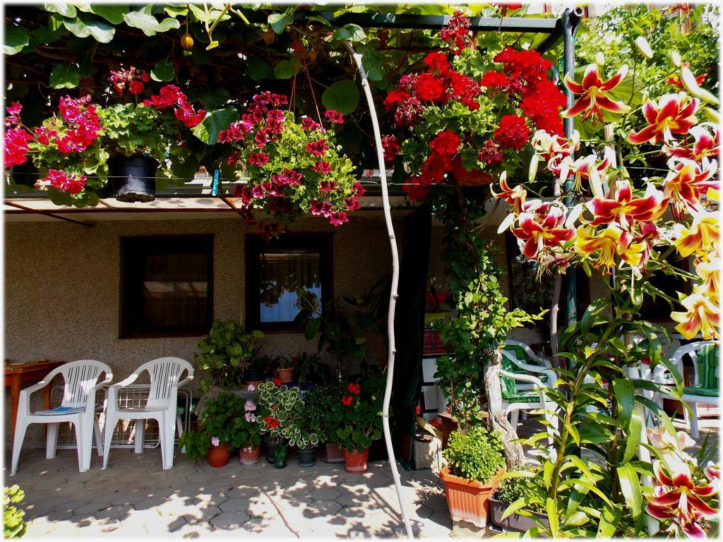 Zura Apartments Ohrid Bagian luar foto