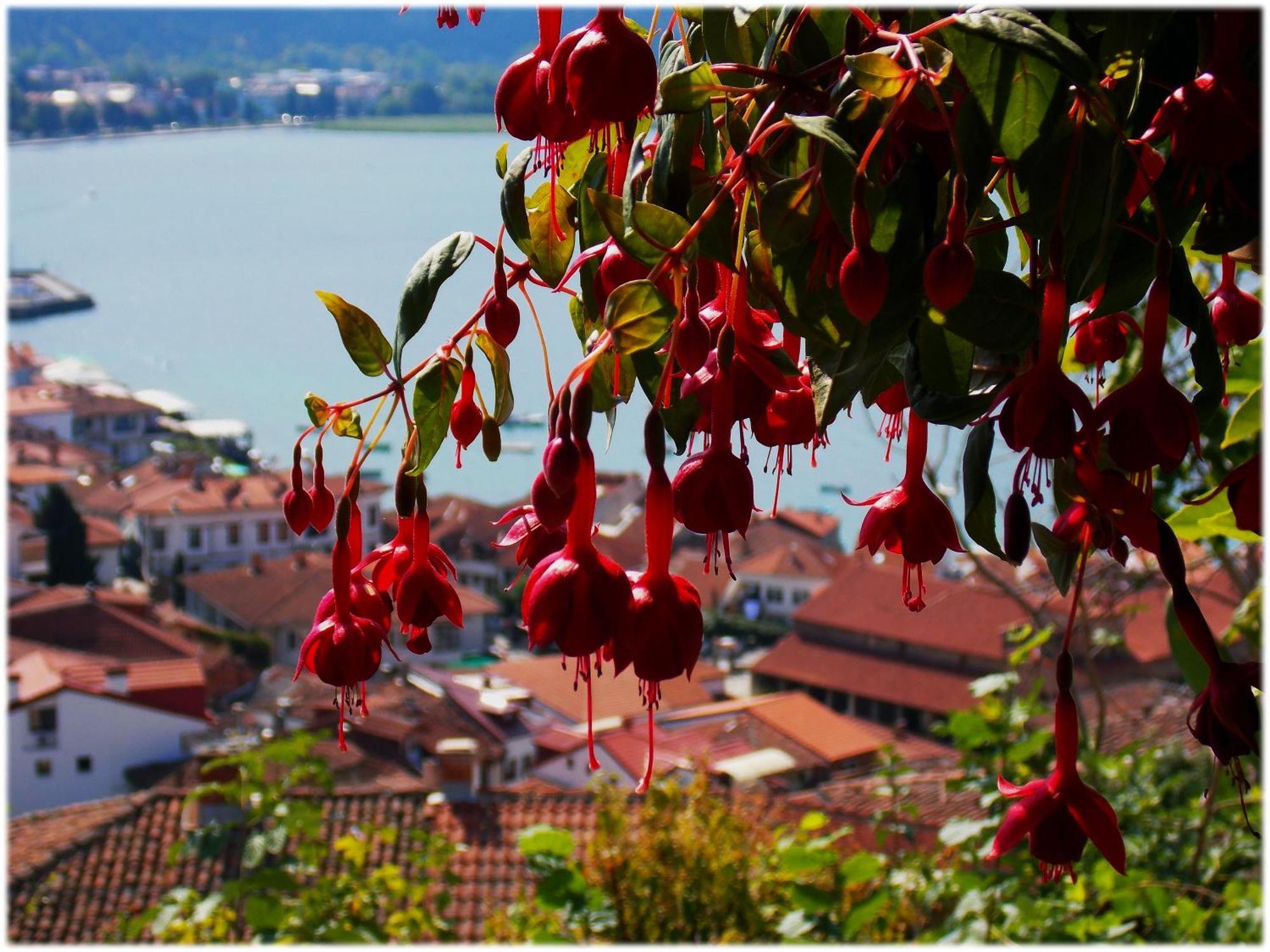 Zura Apartments Ohrid Bagian luar foto