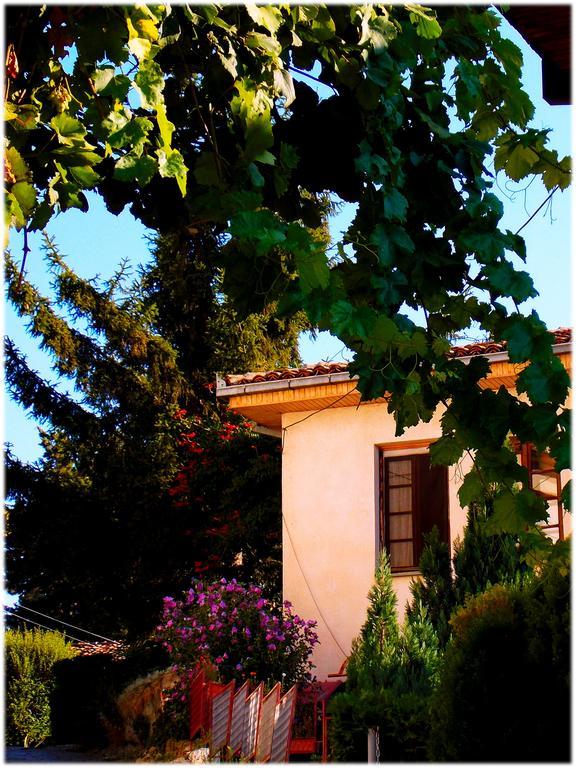 Zura Apartments Ohrid Bagian luar foto